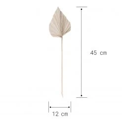Butlers Palmblätter-Set FLOWER MARKET (4-tlg.) - Pflanzenblatt - Natur -Günstiges Deko Geschäft 1000339880 220310 500 SKETCH DETAILS P000000001000339880 sketch 1