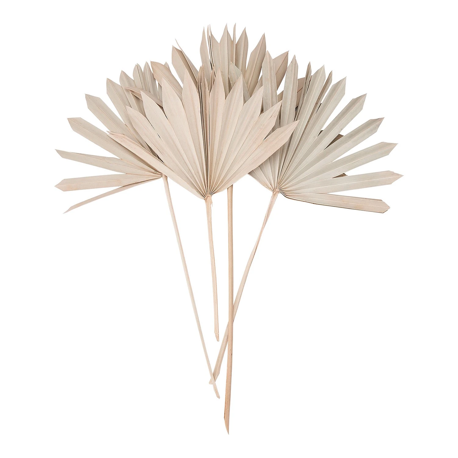 Butlers Palmblatt-Set FLOWER MARKET (4-tlg.) - Pflanzenblatt - Natur 3 Butlers Palmblatt-Set FLOWER MARKET (4-tlg.) - Pflanzenblatt - Natur