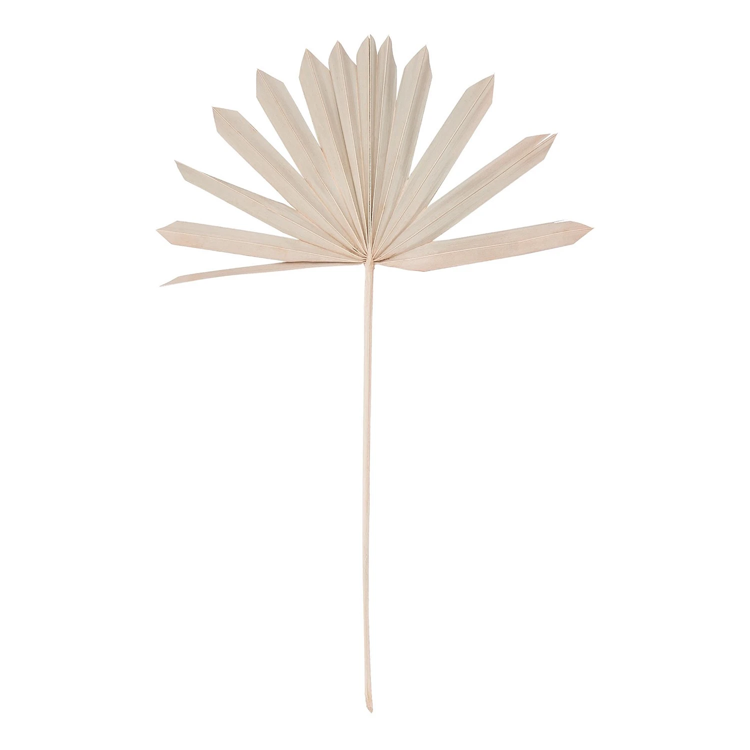 Butlers Palmblatt-Set FLOWER MARKET (4-tlg.) - Pflanzenblatt - Natur 4 Butlers Palmblatt-Set FLOWER MARKET (4-tlg.) - Pflanzenblatt - Natur – Bild 2