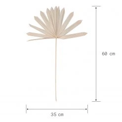 Butlers Palmblatt-Set FLOWER MARKET (4-tlg.) - Pflanzenblatt - Natur 9 Butlers Palmblatt-Set FLOWER MARKET (4-tlg.) - Pflanzenblatt - Natur -Günstiges Deko Geschäft 1000339884 220310 500 SKETCH DETAILS P000000001000339884 sketch