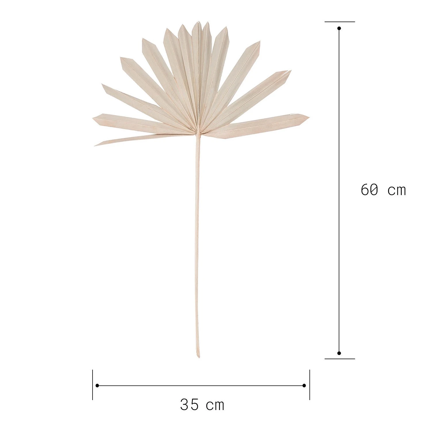 Butlers Palmblatt-Set FLOWER MARKET (4-tlg.) - Pflanzenblatt - Natur 6 Butlers Palmblatt-Set FLOWER MARKET (4-tlg.) - Pflanzenblatt - Natur – Bild 4