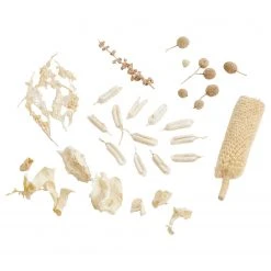 Butlers Blüten Mix FLOWER MARKET II - Pflanzenblatt - Weiß -Günstiges Deko Geschäft 1000339897 220727 030 DETAILS P000000001000339897