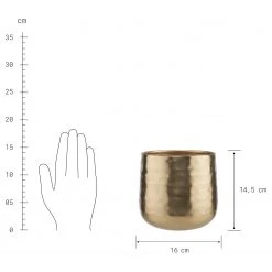 Butlers Übertopf PLANTA II - Eisen - Gold 7 Butlers Übertopf PLANTA II - Eisen - Gold -Günstiges Deko Geschäft 1000341466 220317 040 DETAILS P000000001000341466