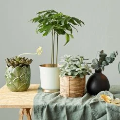 Butlers Übertopf EMILIE - Eisen - Mint / Gold -Günstiges Deko Geschäft 1000341468 220317 021 MOOD DETAILS P000000001000341468 mood