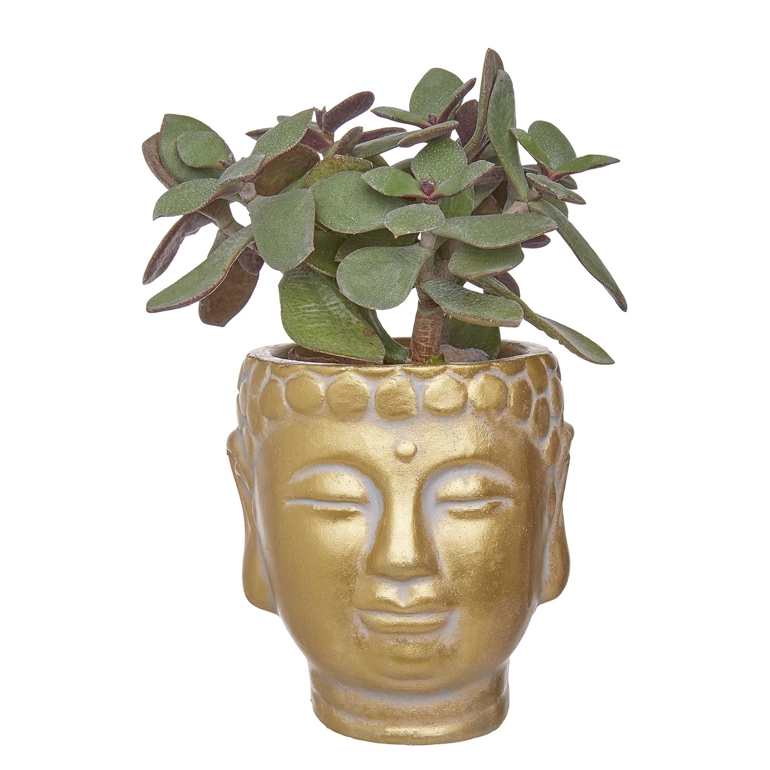 Butlers Mini-Blumentopf BUDDHA - Beton - Gold 4 Butlers Mini-Blumentopf BUDDHA - Beton - Gold – Bild 2