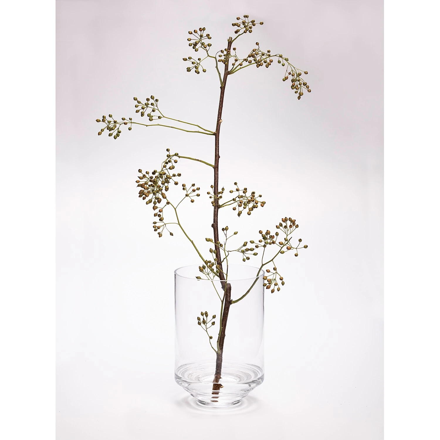 Markslöjd Vase Klippa - Glas - Transparent 5 Markslöjd Vase Klippa - Glas - Transparent – Bild 3