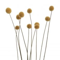 Butlers Trockenblumen FLOWER MARKET Blumenstrauß - Polyester - Grün -Günstiges Deko Geschäft 1000364948 220802 050 DETAILS P000000001000364948 1