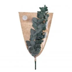 Butlers Trockenblumen FLOWER MARKET Eukalyptus - Polyester - Grün -Günstiges Deko Geschäft 1000364972 220802 030 DETAILS P000000001000364972