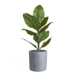 Butlers Pflanztopf CONCRETE - Magnesia - Grau -Günstiges Deko Geschäft 1000364987 220802 030 DETAILS P000000001000364987