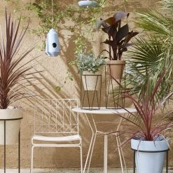 Mica Decorations Blumentopf Orion - Rotbraun 9 Mica Decorations Blumentopf Orion - Rotbraun -Günstiges Deko Geschäft 1402310ec707442f8bfe2d21ab59e764 scaled