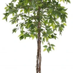 Mica Decorations Kunstpflanze Ficus