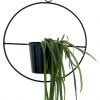 Adorist. Hängetopf Hanging Garden Rund, schwarz - Hängetopf, Dekoring mit Blumentopf "Hanging Garden" Rund, schwarz -Günstiges Deko Geschäft 24f4639ed5284ab7962f0c04f409cbd7.cropped 806 54 947 2546.processed