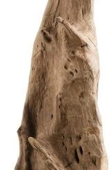 Macabane Deko-Objekt aus Teakholz Zweig -Günstiges Deko Geschäft 2c02c63e34c24d7abf678c683f15974d.cropped 362 30 161 866.processed