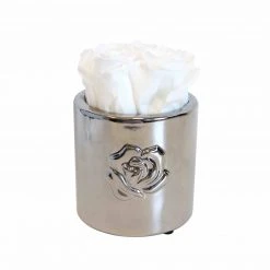 Flowforia Infinity Rosenarrangement Rose rund