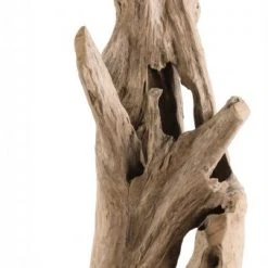 Macabane Deko-Objekt aus Teakholz Zweig 10 Macabane Deko-Objekt aus Teakholz Zweig -Günstiges Deko Geschäft 3154cea4fdfb4d06aa0b572556be4570.cropped 261 49 339 843.processed