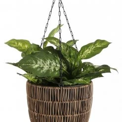 Mica Decorations Blumentopf Peta -Günstiges Deko Geschäft 36ef93abf6a9401582d220493a4d65d1.cropped 587 118 1863 2606.processed scaled