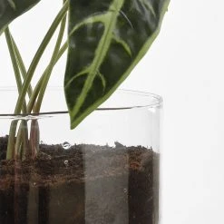 Mica Decorations Blumentopf Elements -Günstiges Deko Geschäft 3f9fd9bc71e34e67a430aacbb0a43547 scaled