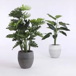Mica Decorations Kunstpflanze Philodendron -Günstiges Deko Geschäft 429e3e5f3a1c4c4aabde8005fe09841d scaled