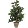 Mica Decorations Kunstpflanze Ficus Exotica -Günstiges Deko Geschäft 460748e74d6a415499070a7ce9f040fe.cropped 0 146 1495 1605.processed