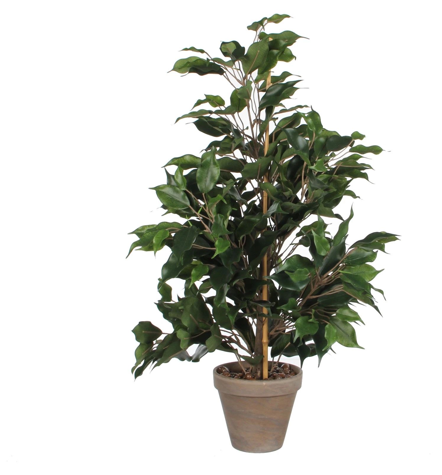 Mica Decorations Kunstpflanze Ficus Exotica 3 Mica Decorations Kunstpflanze Ficus Exotica