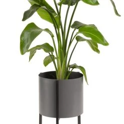 Lifa Living Pflanzenständer Delphine Ø 30 cm - 54 x 50 cm -Günstiges Deko Geschäft 48c07eb98a044db4a24944c6d63675c5.cropped 408 0 519 848.processed