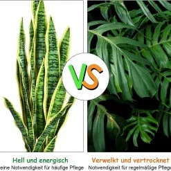 Costway Kunstpflanze Sansevieria 90 cm -Günstiges Deko Geschäft 4b3bfbb67eaa4db0b81351d1cb0e04d2