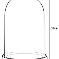 Mica Decorations Glasglocke Hella - 21 x 30 x 21 cm - Durchmesser: 21 cm 10 Mica Decorations Glasglocke Hella - 21 x 30 x 21 cm - Durchmesser: 21 cm -Günstiges Deko Geschäft 4c02fa30a8e744fb953c500f823408d9.cropped 396 191 860 1208.processed