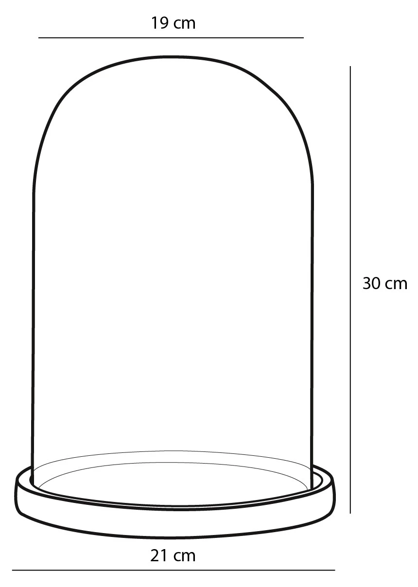 Mica Decorations Glasglocke Hella - 21 x 30 x 21 cm - Durchmesser: 21 cm 6 Mica Decorations Glasglocke Hella - 21 x 30 x 21 cm - Durchmesser: 21 cm – Bild 5