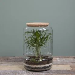 Mica Decorations Glas-Terrarium Elements 7 Mica Decorations Glas-Terrarium Elements -Günstiges Deko Geschäft 4e841e3249de43e882fa11a4f150be3d scaled