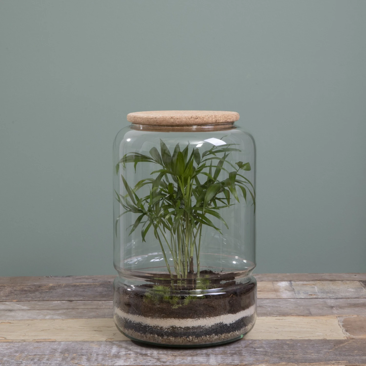 Mica Decorations Glas-Terrarium Elements 4 Mica Decorations Glas-Terrarium Elements – Bild 2