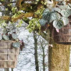 Mica Decorations Blumentopf Peta -Günstiges Deko Geschäft 4f509aa0cc8f43da933464d12b95afc1