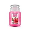Country Candle Large Jar Dragonfruit Lemonade 2 Country Candle Large Jar Dragonfruit Lemonade -Günstiges Deko Geschäft 4fe4c227c964464dae71402daad317c8