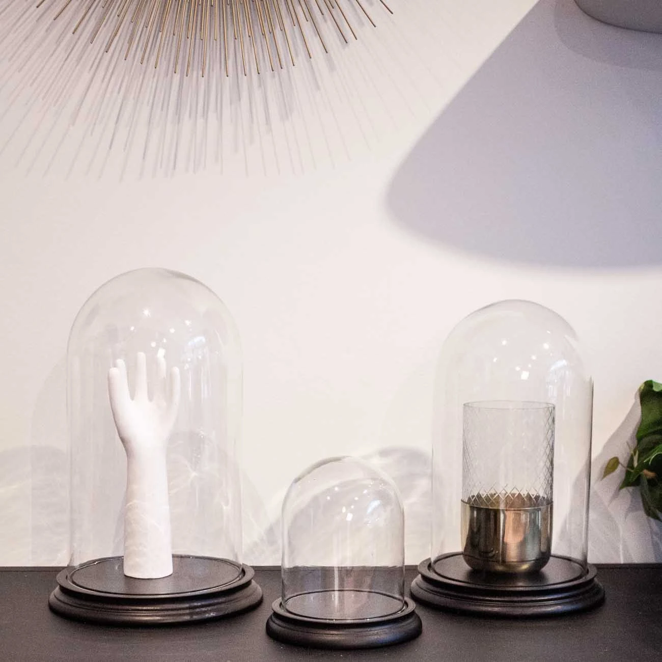 Miss Etoile Glasglocke mit Boden schwarz, L 4 Miss Etoile Glasglocke mit Boden schwarz, L – Bild 2