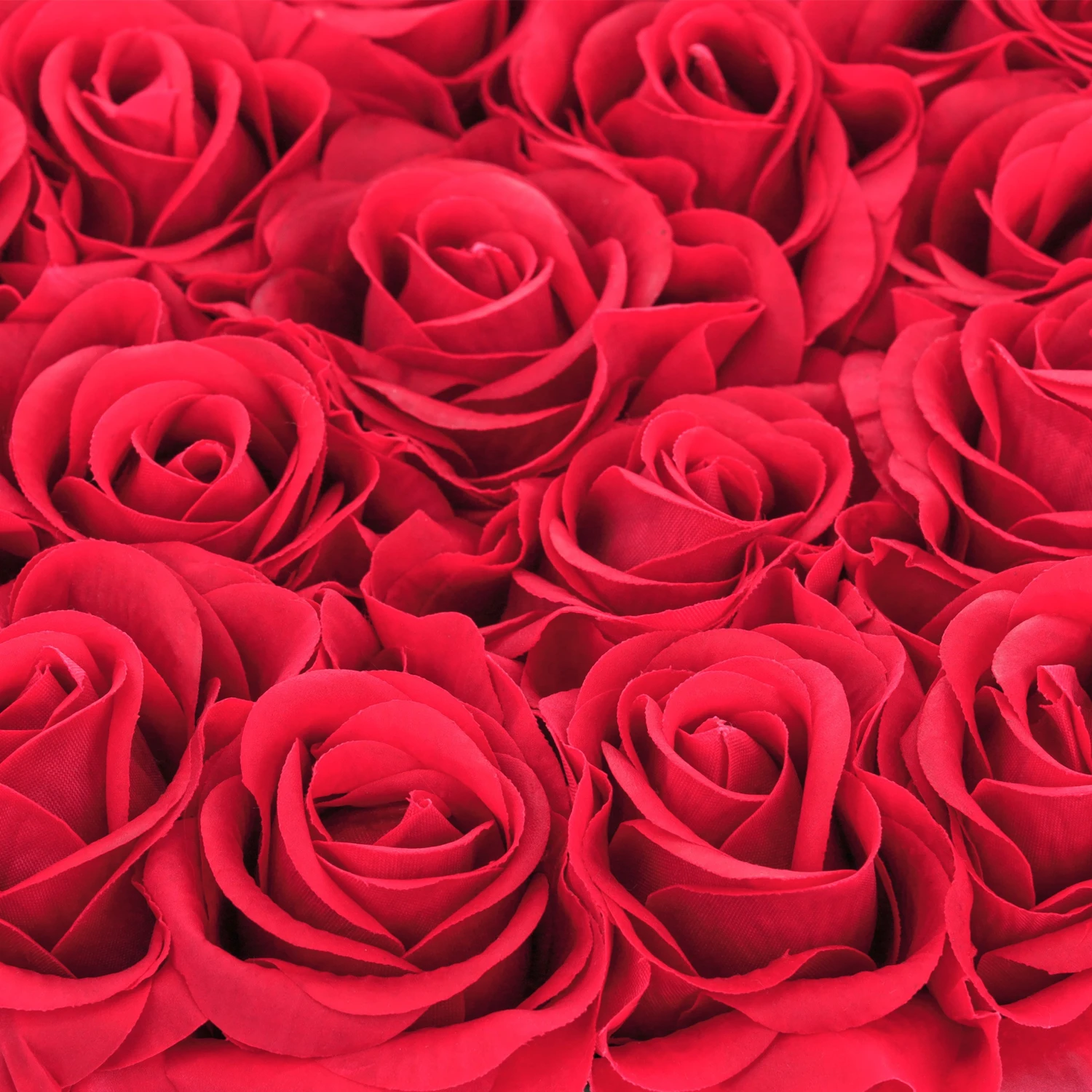 Relaxdays Schwarze Rosenbox mit 18 Rosen 9 Relaxdays Schwarze Rosenbox mit 18 Rosen – Bild 7