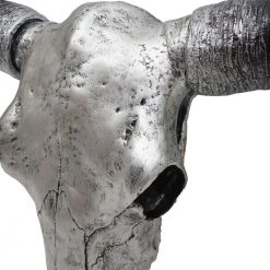 Deko Schädel 132cm HWC-A14 Stier - Silbergrau 12 Deko Schädel 132cm HWC-A14 Stier - Silbergrau -Günstiges Deko Geschäft 5c003de0d1494299a489505f9655ffa5