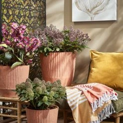 Mica Decorations Blumentopf Rio - 45 x 41 x 45 cm - Durchmesser: 45 cm 7 Mica Decorations Blumentopf Rio - 45 x 41 x 45 cm - Durchmesser: 45 cm -Günstiges Deko Geschäft 5c6333a8be6948709c2bcaadb925111e scaled