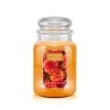 Country Candle Large Jar Golden Mums & Honeycrisp -Günstiges Deko Geschäft 5caf6cde23f74ad29035d188dc4a986b