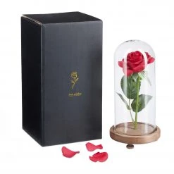 Relaxdays Ewige Rose im Glas 14 Relaxdays Ewige Rose im Glas -Günstiges Deko Geschäft 5d4b709dd6354e468756acfa1ecc4a13