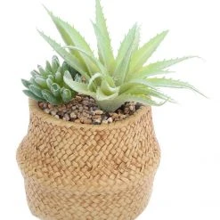 Sil Kunstfettpflanzen um geflochtenem Topf 2