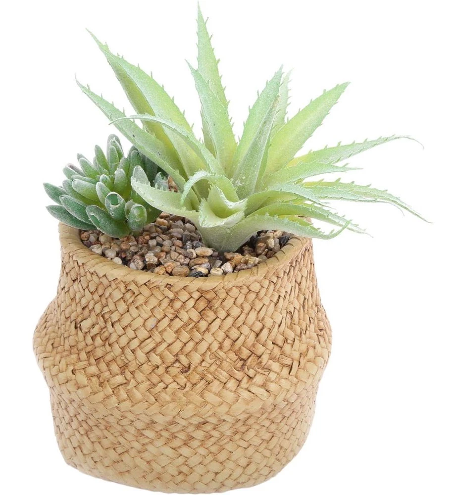 Sil Kunstfettpflanzen um geflochtenem Topf 2 3 Sil Kunstfettpflanzen um geflochtenem Topf 2