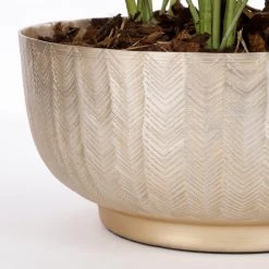 House of Seasons Pflanzenschale Sofia -Günstiges Deko Geschäft 61fb38c1c8544b67b79844035ed303c8 scaled