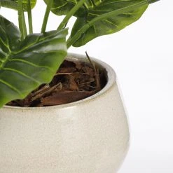 Mica Decorations Blumentopf Merle -Günstiges Deko Geschäft 64734aa3dfa64740b49aaf037181f627 scaled