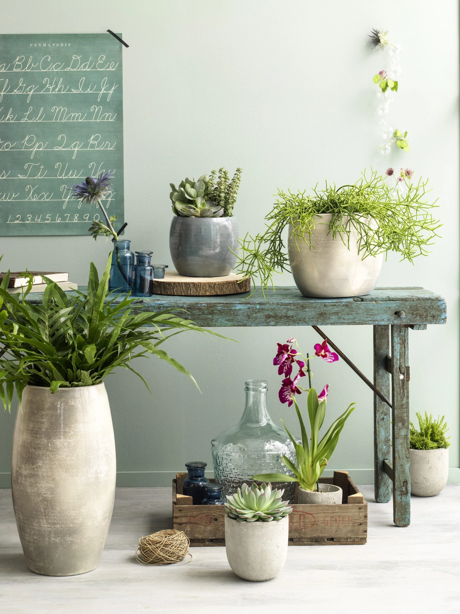 Mica Decorations Blumentopf Lester - 28 x 26 x 28 cm - Durchmesser: 28 cm 4 Mica Decorations Blumentopf Lester - 28 x 26 x 28 cm - Durchmesser: 28 cm – Bild 2