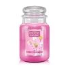 Country Candle Large Jar Sweet Stuff -Günstiges Deko Geschäft 66f5a998b9b54510a4d487d538874e6f