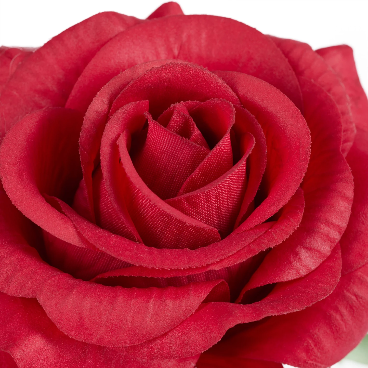 Relaxdays Ewige Rose im Glas 8 Relaxdays Ewige Rose im Glas – Bild 6