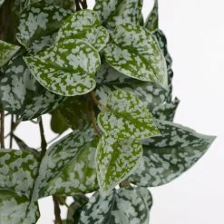 Mica Decorations Künstliche Hängepflanze Scindapsus - 25 x 86 cm -Günstiges Deko Geschäft 6c114cd7e3d1440d9e6a043b25768b3a scaled