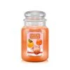 Country Candle Large Jar Sunday Funday 1 Country Candle Large Jar Sunday Funday -Günstiges Deko Geschäft 6d230910a9d540f69704e9043094b073