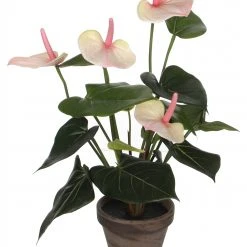 Mica Decorations Kunstpflanze Anthurium - Hellrosa
