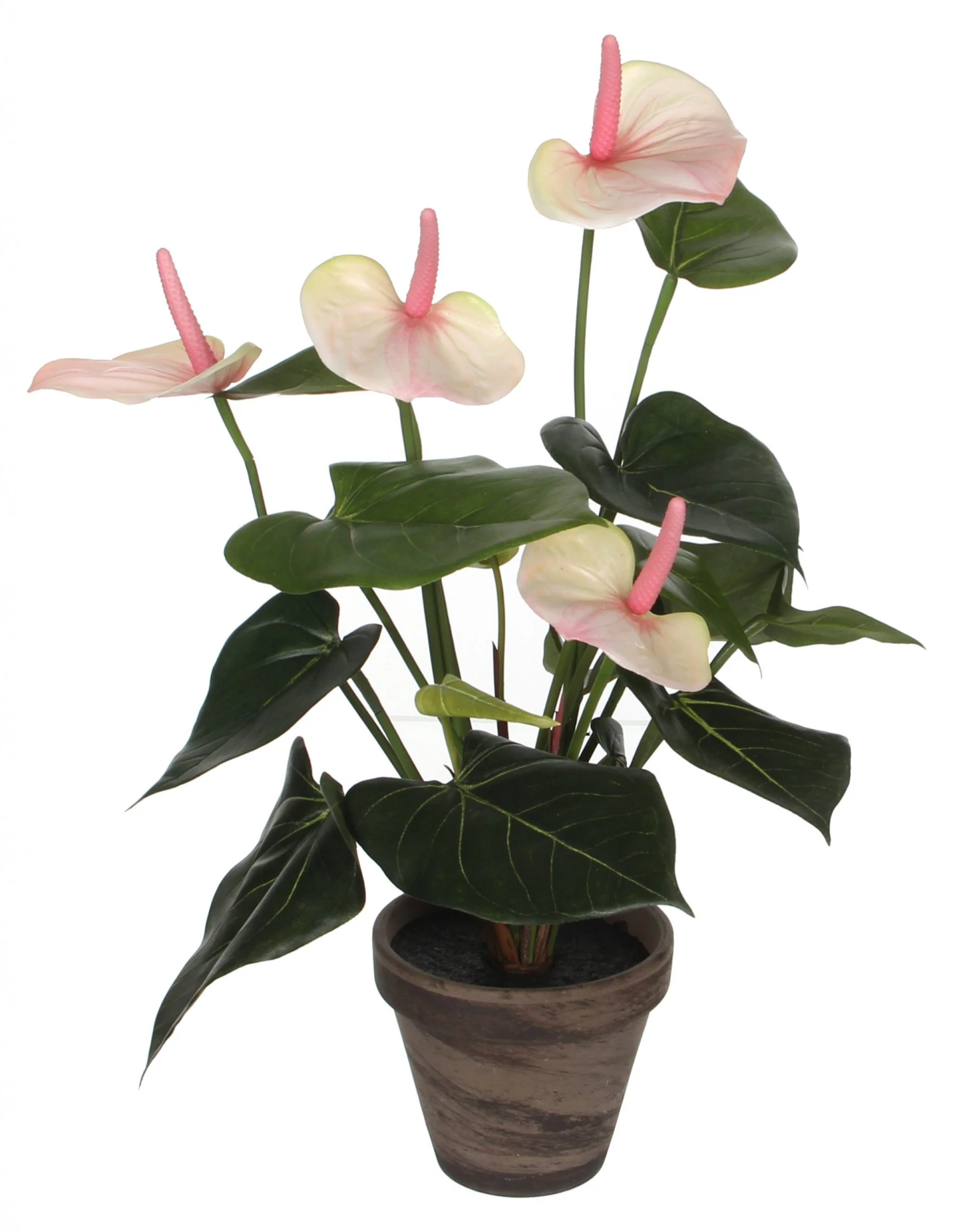 Mica Decorations Kunstpflanze Anthurium - Hellrosa 3 Mica Decorations Kunstpflanze Anthurium - Hellrosa