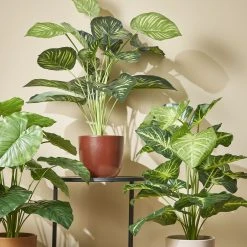 Mica Decorations Kunstpflanze Caladium -Günstiges Deko Geschäft 7f29d21b74bd48039d948a1fd2040d11 scaled